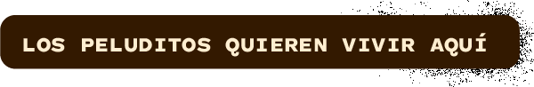 Suplementos, vitaminas, Galletas y Snacks saludables para perros y gatos - Productos funcionales y saludables - mungos.co LOS PELUDITOS QUIEREN VIVIR AQUÍ