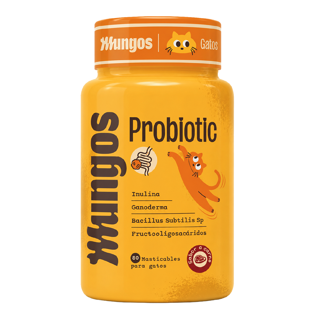 Cats Probiotic