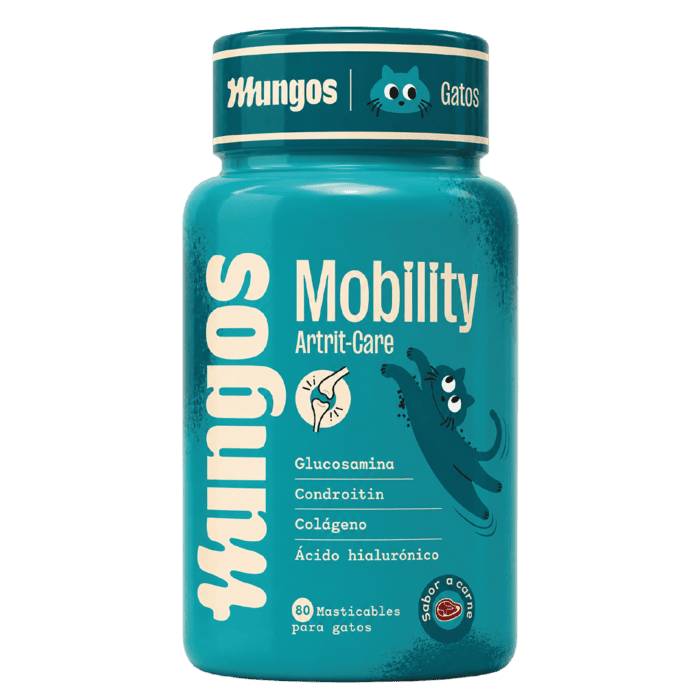 Cats Mobility