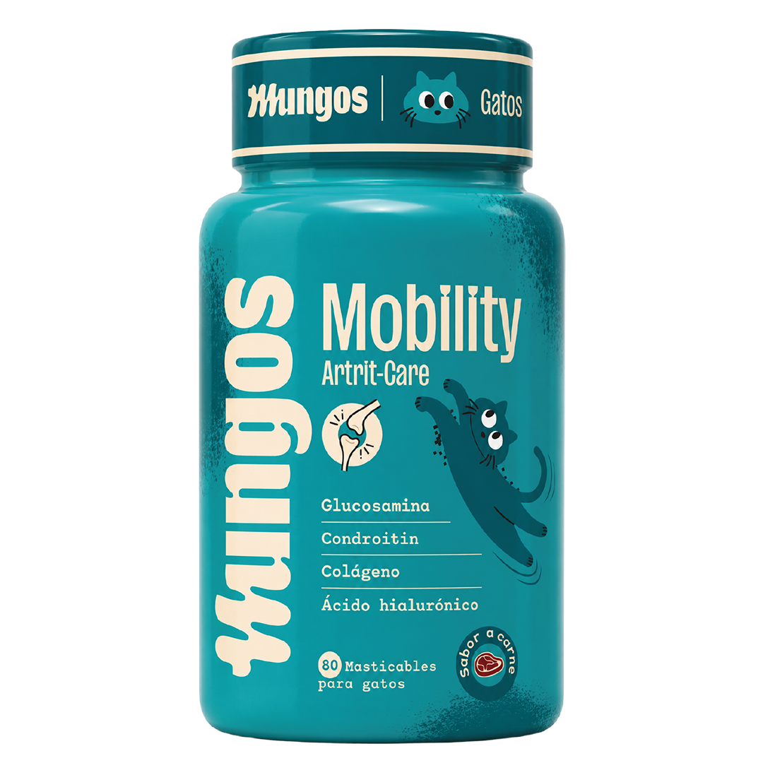 Cats Mobility