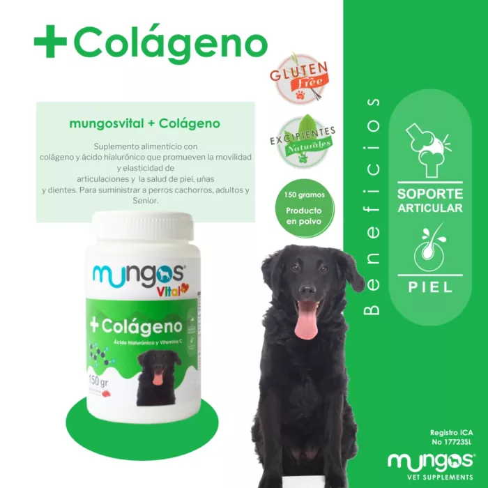 Colágeno para perros-mungos-colágeno
