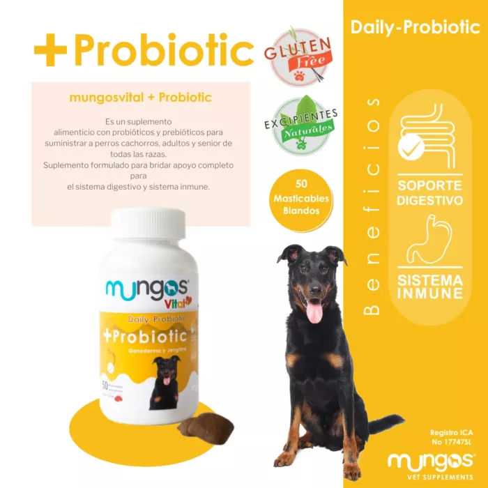 Probióticos-blandos-para-perros