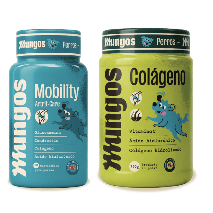 Kit Movilidad