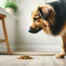 5 Diferencias Clave entre Regurgitación y Vómito en Perros: Causas y Cómo Prevenirlas