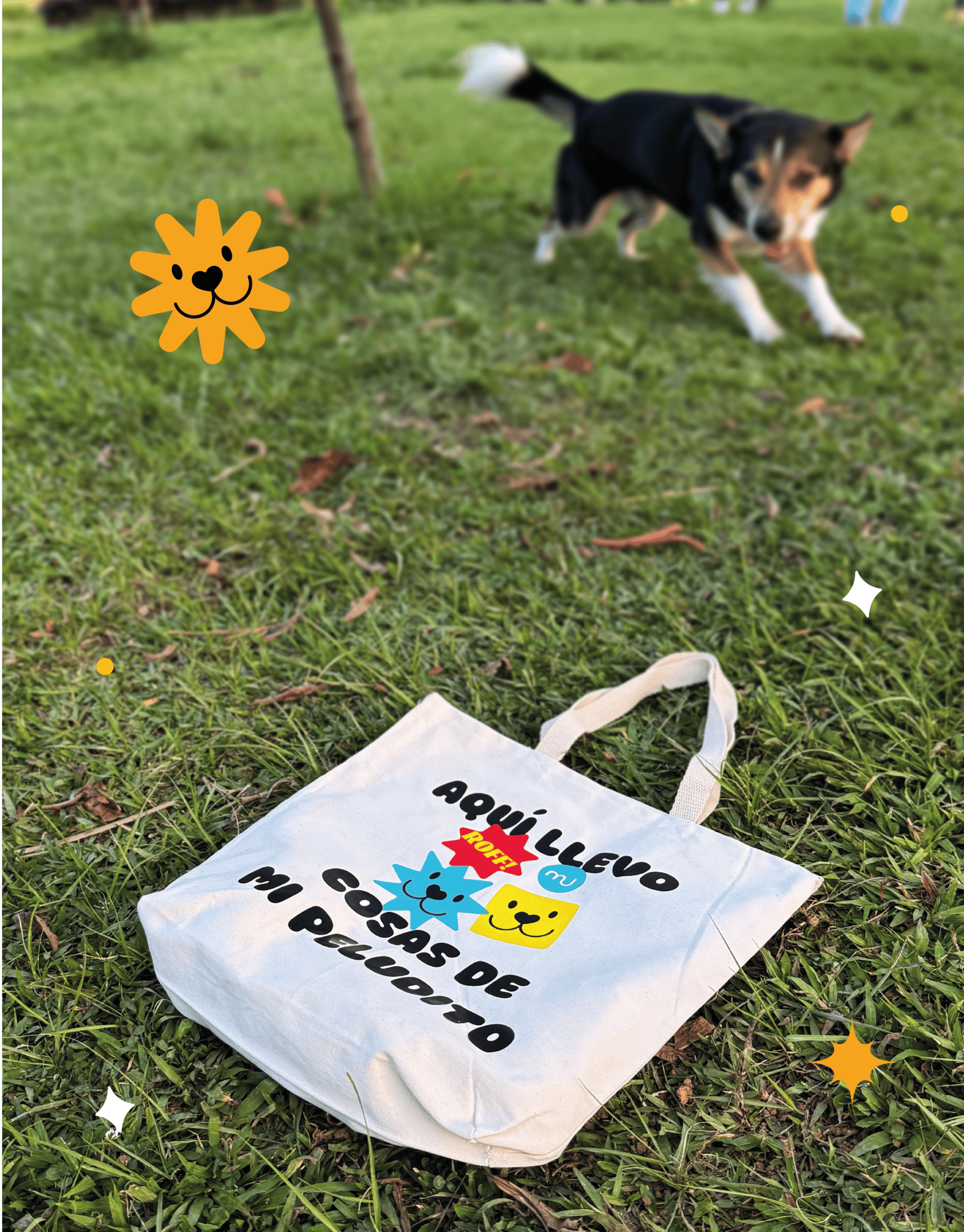 Suplementos, vitaminas, Galletas y Snacks saludables para perros y gatos - Productos funcionales y saludables - mungos.co Totebag Mungos - Imagen 5